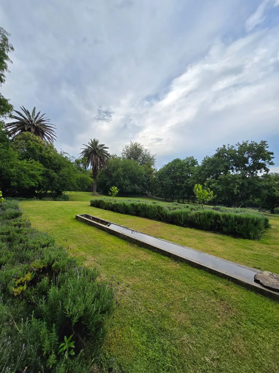 Windrush Studio grounds
