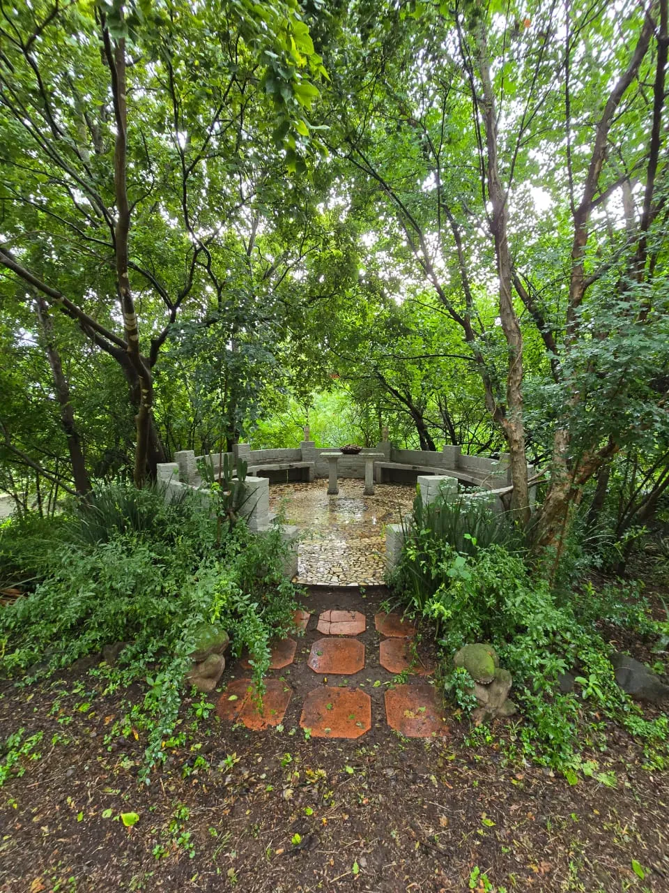 Windrush Studio garden