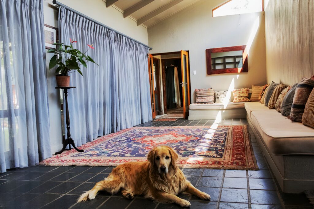 Windrush Studio foyer and reception area, viewed from the garden
